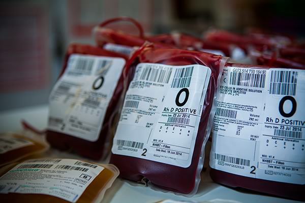 BASIC CERTIFICATE COURSE IN TRANSFUSION MEDICINE & BLOOD BANK TECHNOLOGY